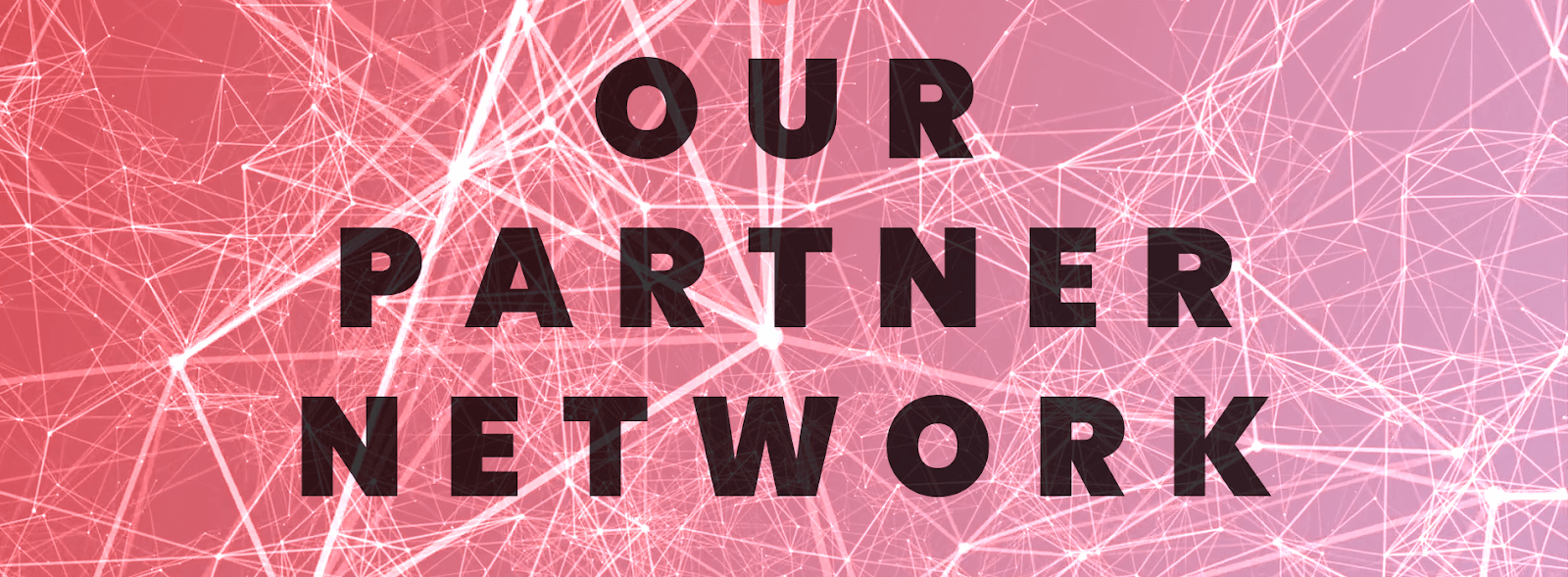 Partner Network Graphic